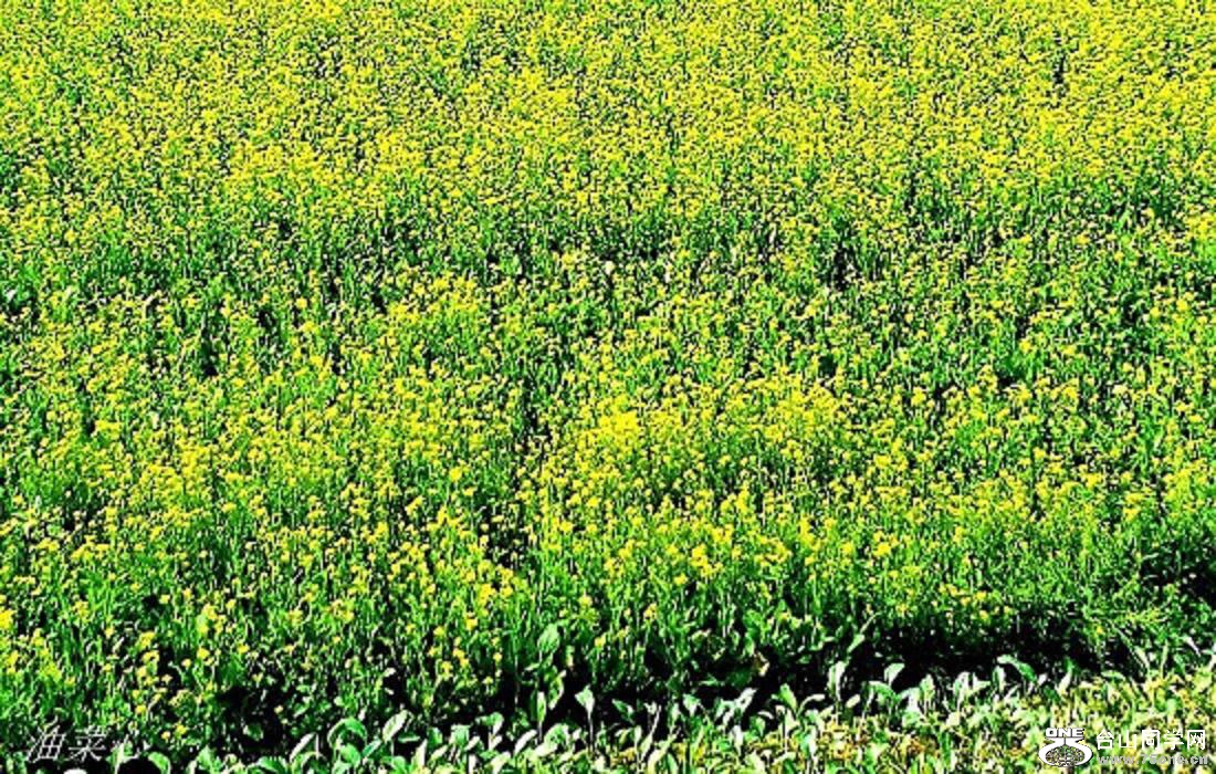 2015-01-09 15.53.29.jpg