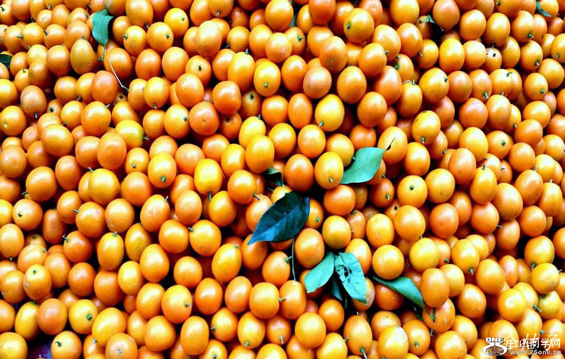 2015-01-10 15.31.02.jpg