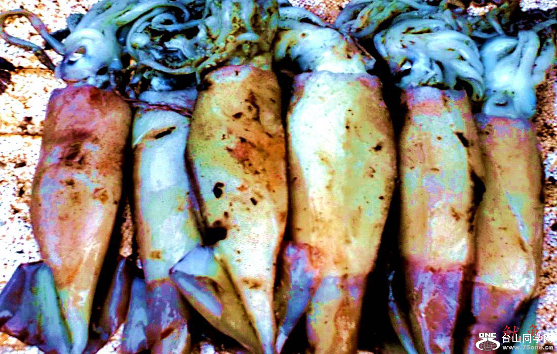 2015-01-10 09.53.27.jpg