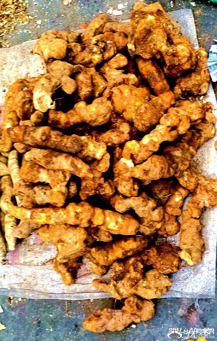 2015-01-10 09.47.15.jpg