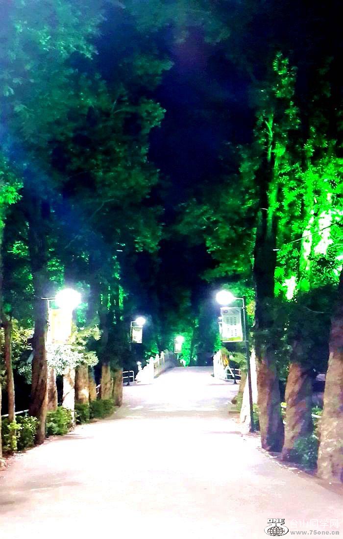 2015-01-11 19.48.32.jpg