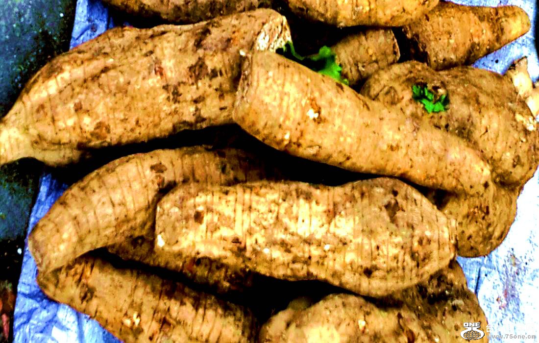 2015-01-10 09.55.52.jpg