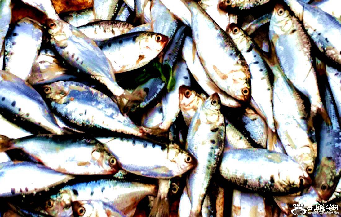 2015-01-10 09.49.03.jpg