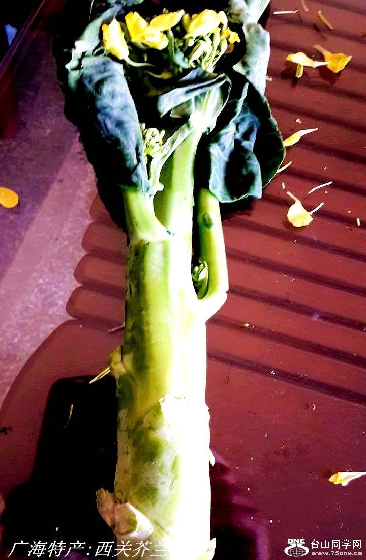 2015-01-23 12.26.11.jpg