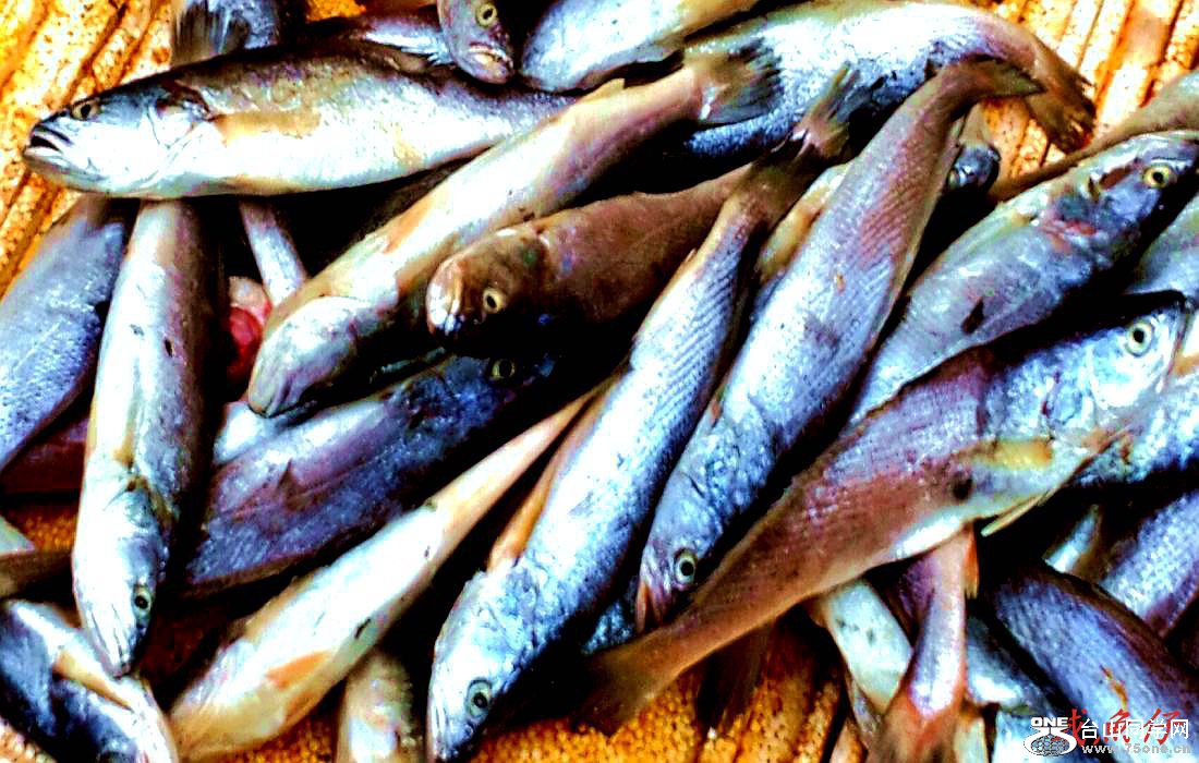 2015-01-10 09.55.31.jpg