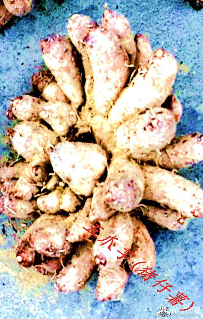 2015-01-10 09.53.02.jpg