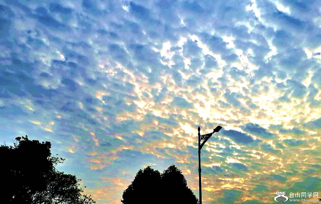 2015-01-10 08.54.22.jpg