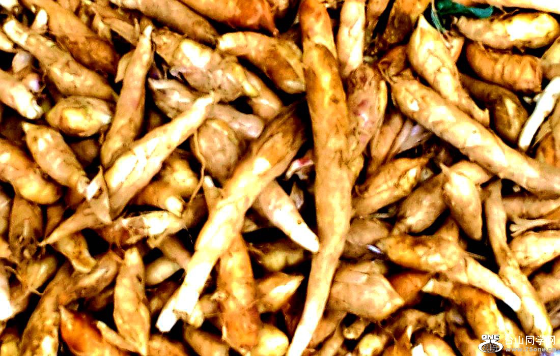 2015-01-10 09.52.06.jpg