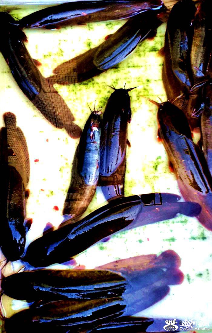 2015-01-10 09.47.34.jpg