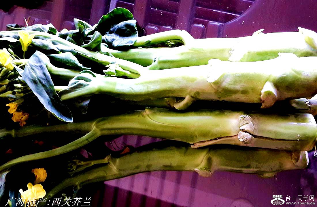 2015-01-23 12.26.29.jpg