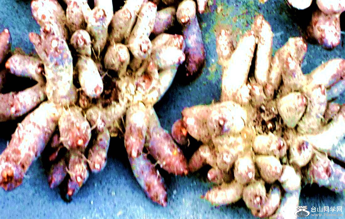 2015-01-10 09.52.31.jpg