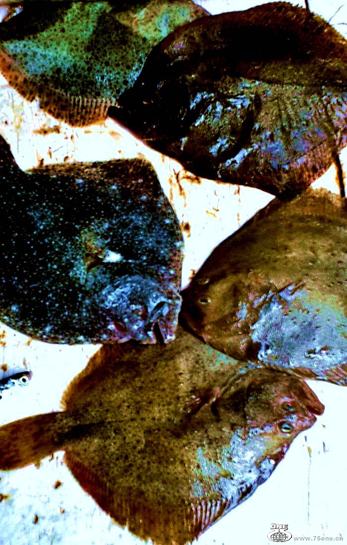 2015-01-10 09.54.13.jpg