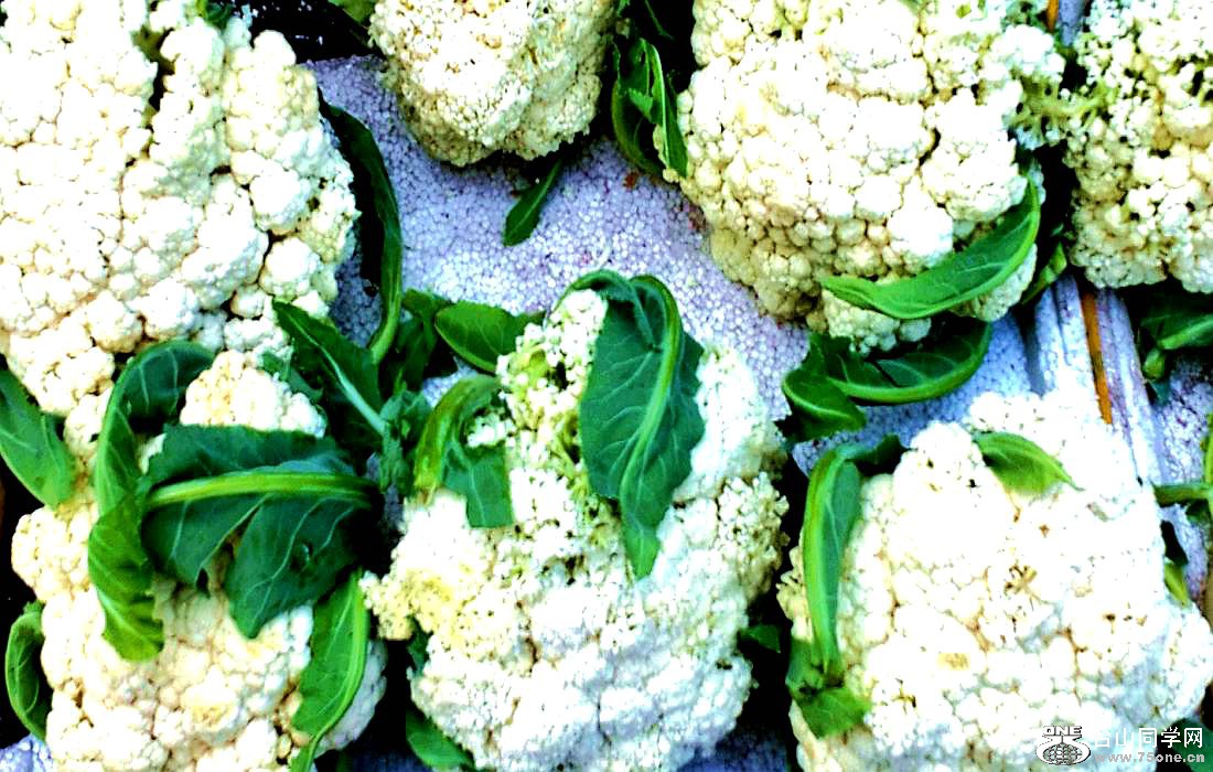 2015-01-10 09.48.07.jpg