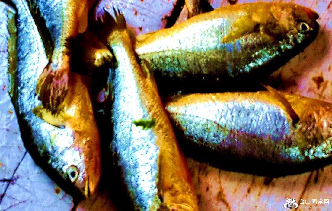 2015-01-10 09.53.52.jpg