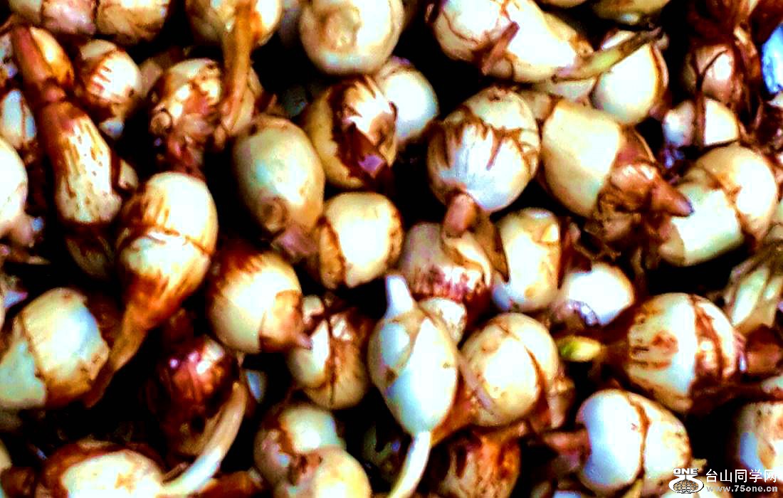 2015-01-10 09.44.48.jpg