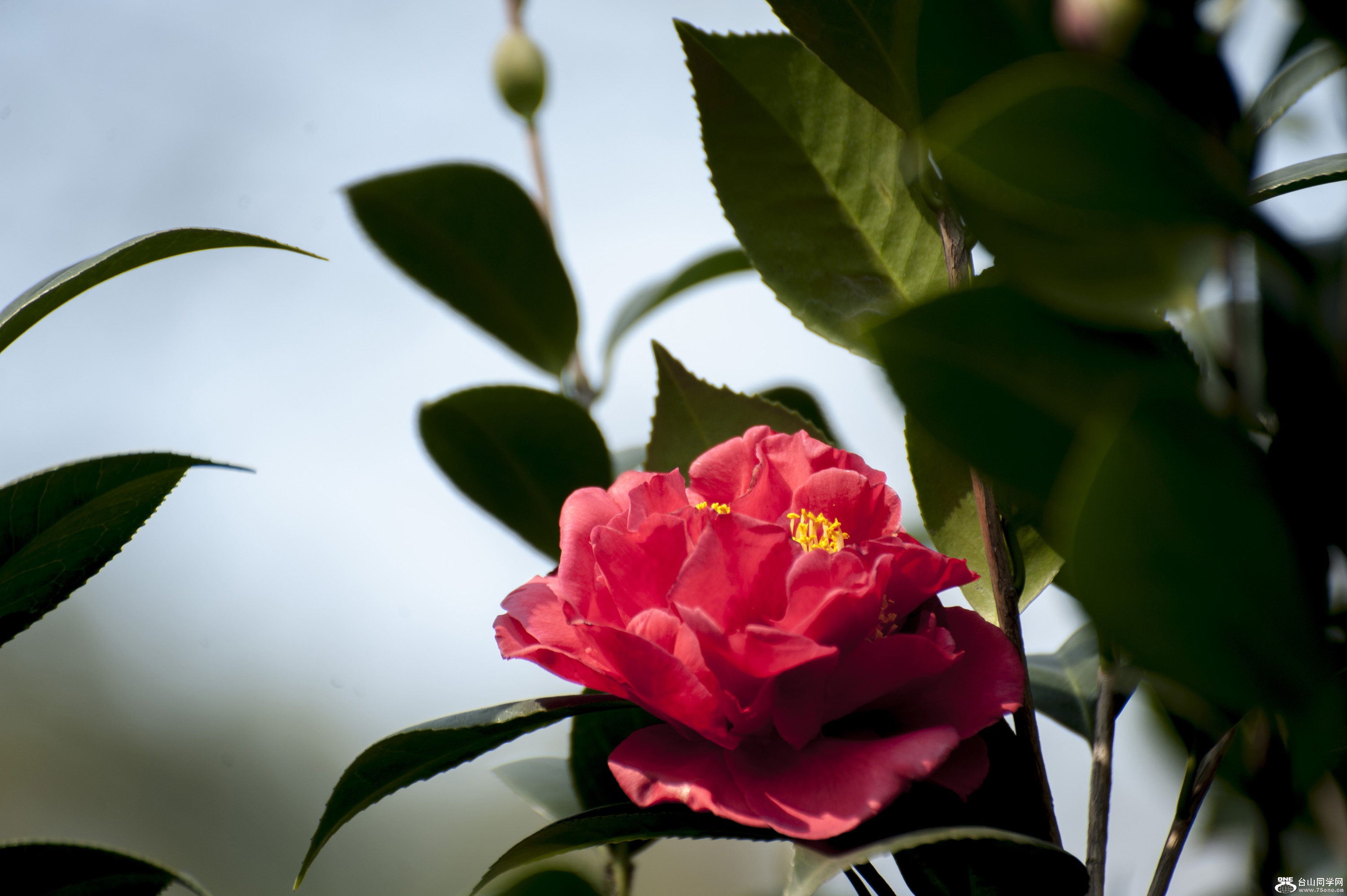 DSC_0170.jpg