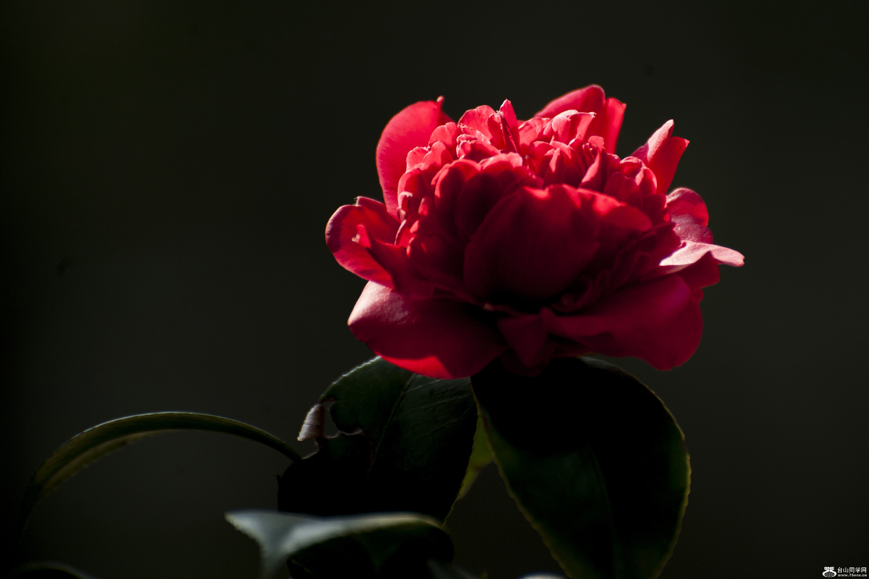 DSC_0120.jpg