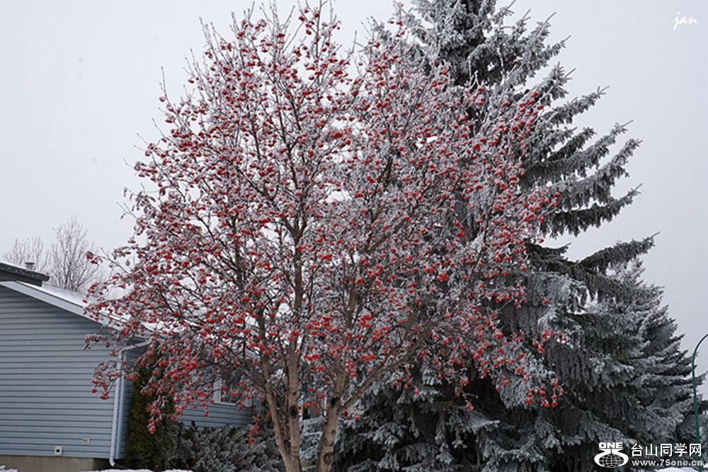 DSC00298=.jpg
