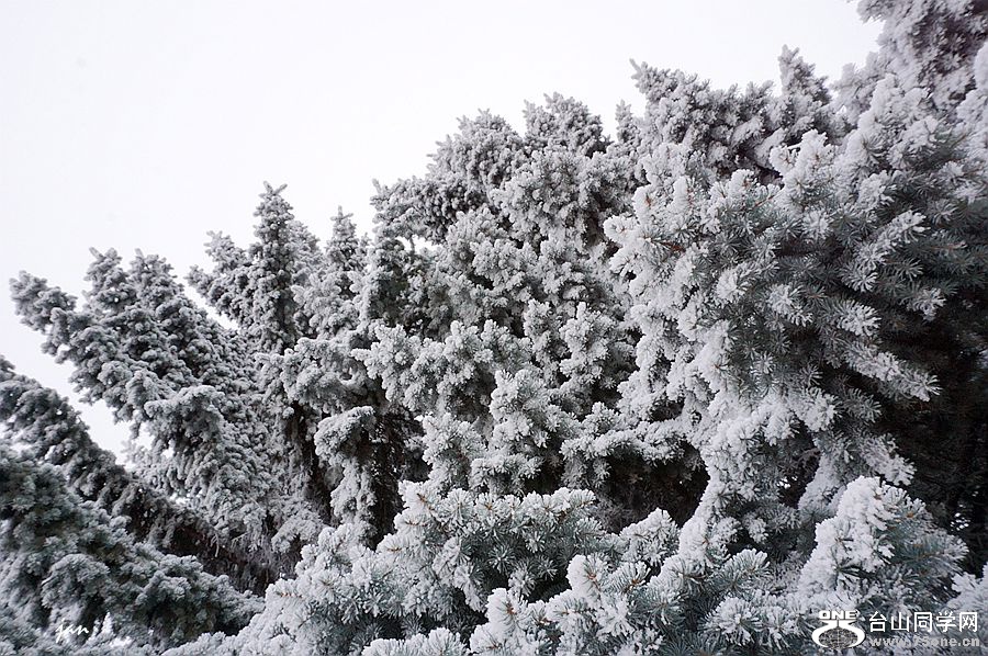 DSC00310=.jpg