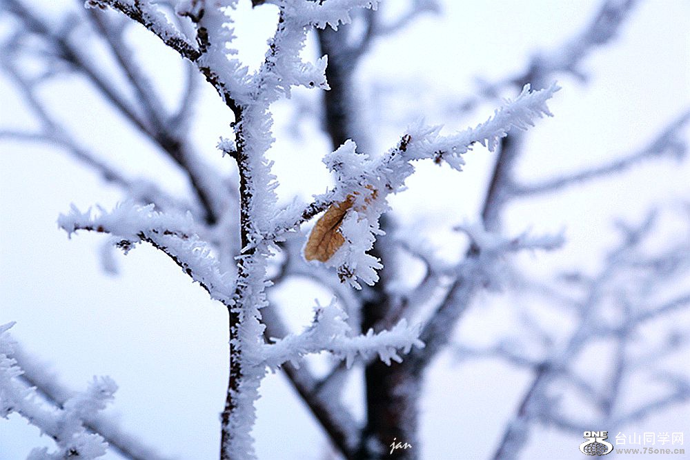 IMG_8296=.jpg