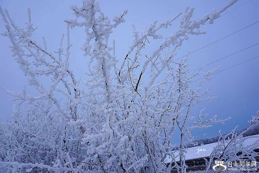 DSC00058=.jpg