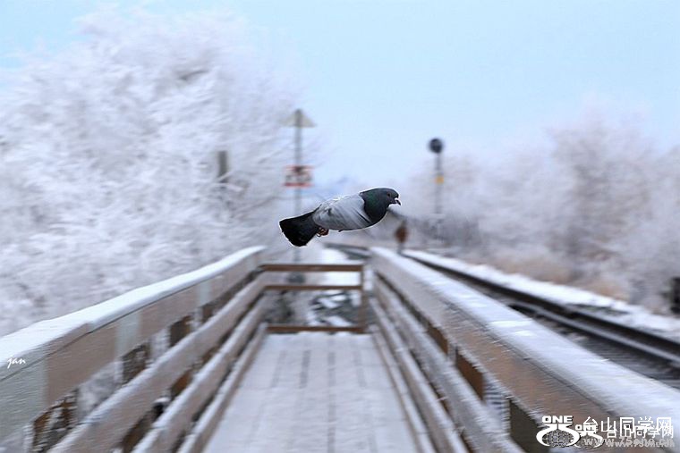 90_3812_a5d16eb4f8308e3_.jpg