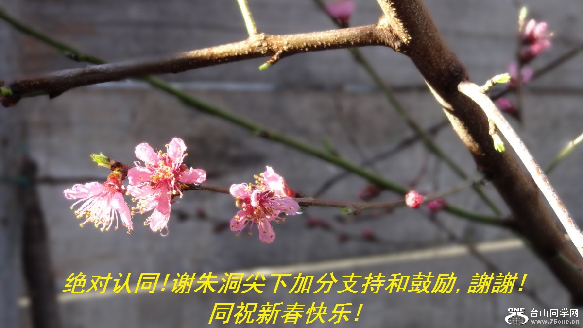 ͬ!л춴¼ӷֺ֧͹,xx!ͬף´!.jpg