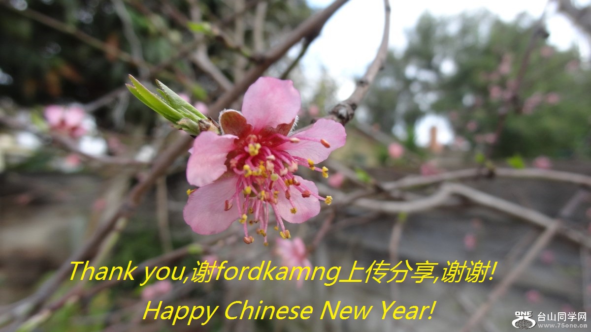 Thank you,лfordkamngϴ,лл! Happy Chinese New Year!.jpg