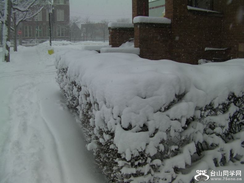 Snowing in Chicago