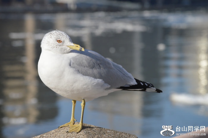 DSC_0691.jpg