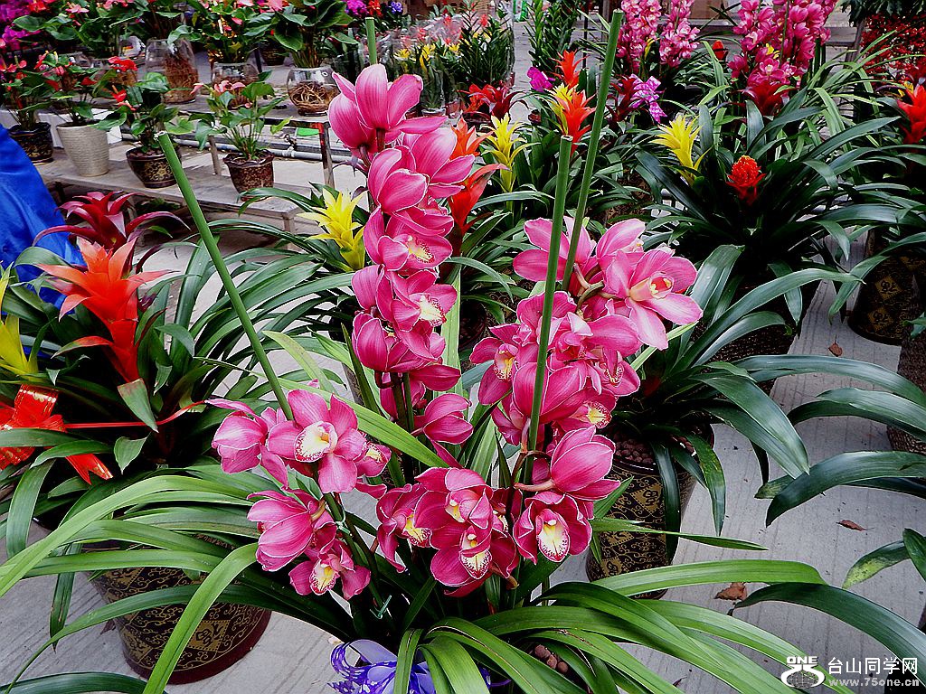 DSCF2158.JPG