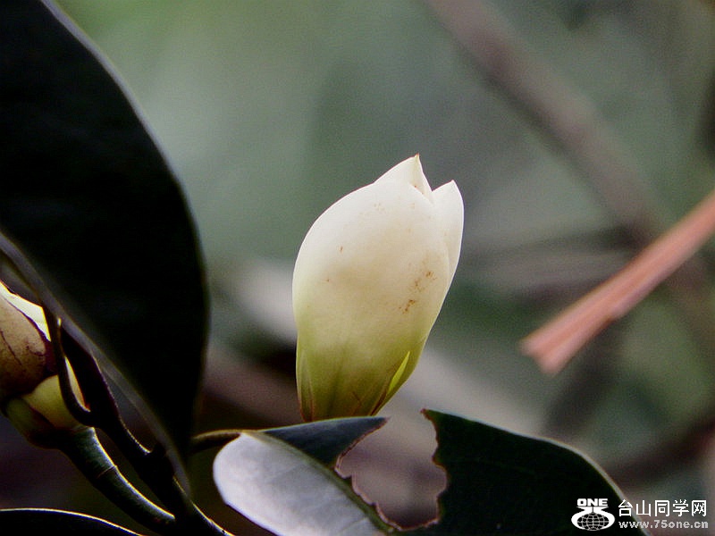 DSCF1672.jpg