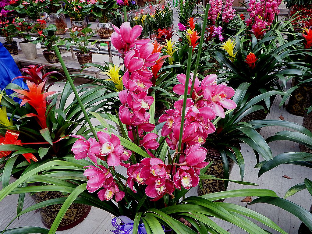 DSCF2158.JPG