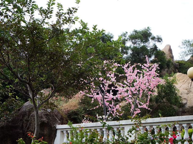 DSCF7366.jpg