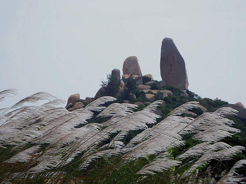 DSCF7332.jpg