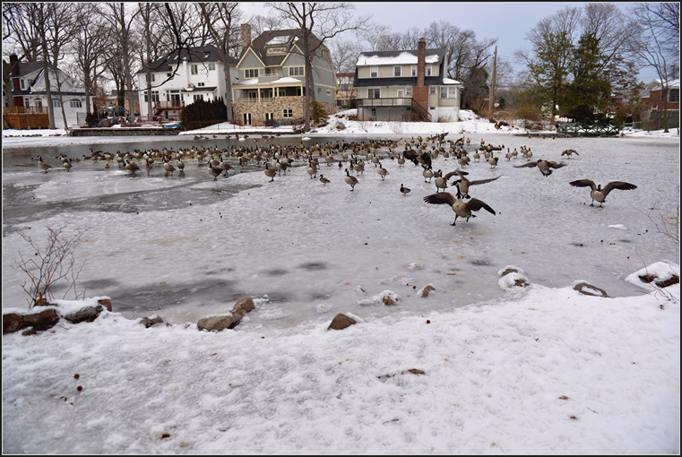 DSC_6844.jpg