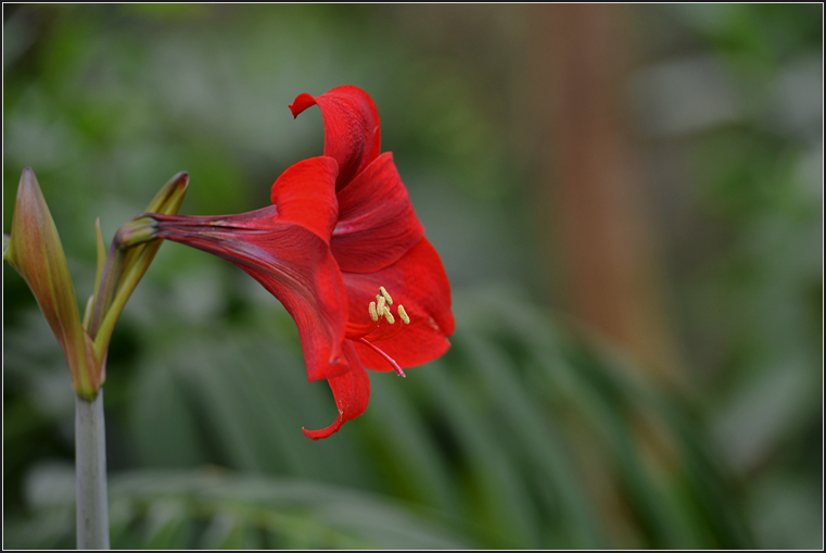 DSC_7922.jpg