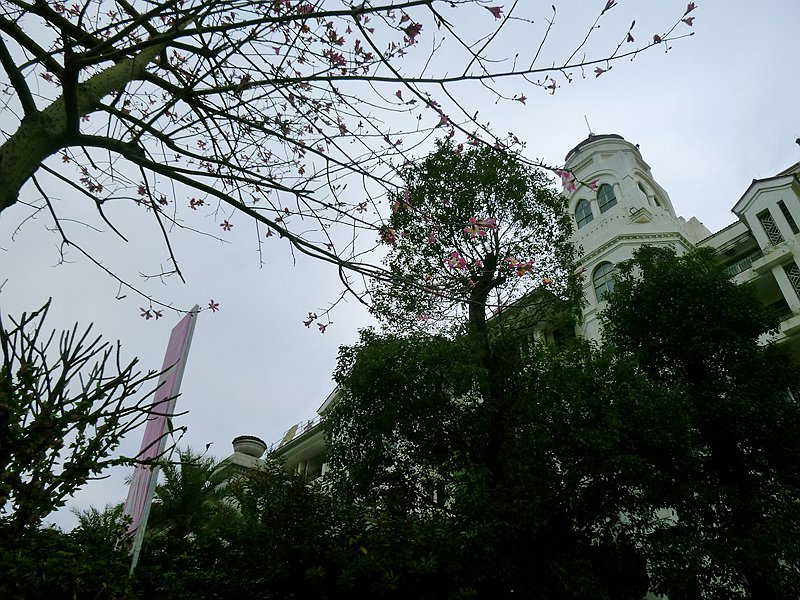 DSCF0077.jpg