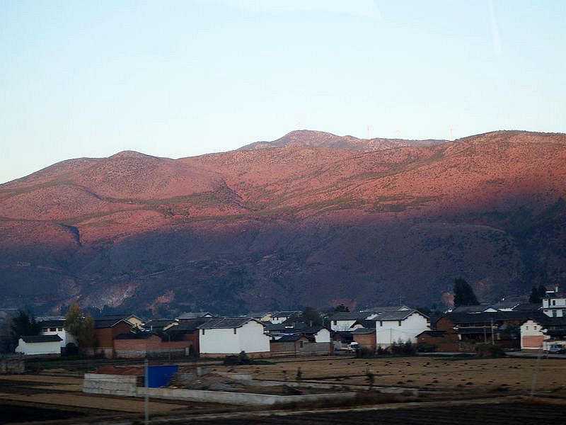 IMG_7884.jpg