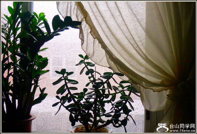 DSC00859_.jpg