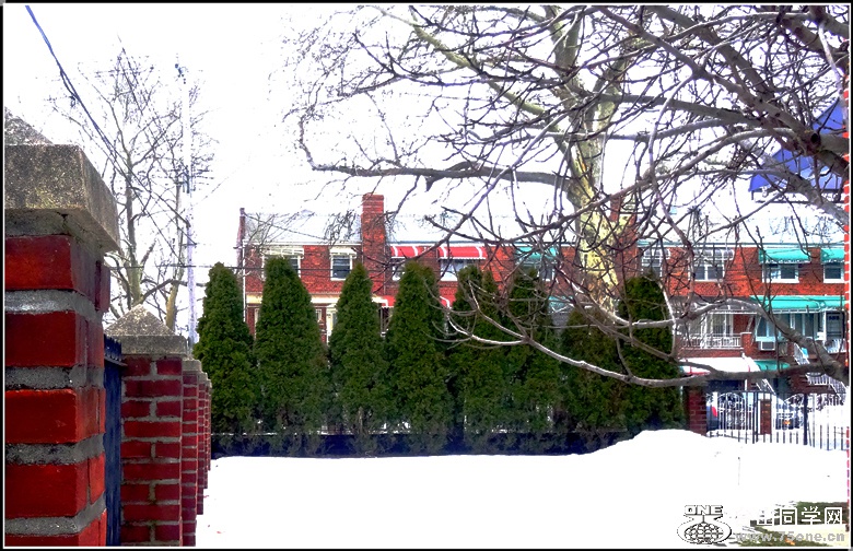 DSC00900_.jpg