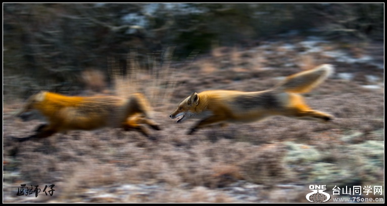 DSC_2091_.jpg