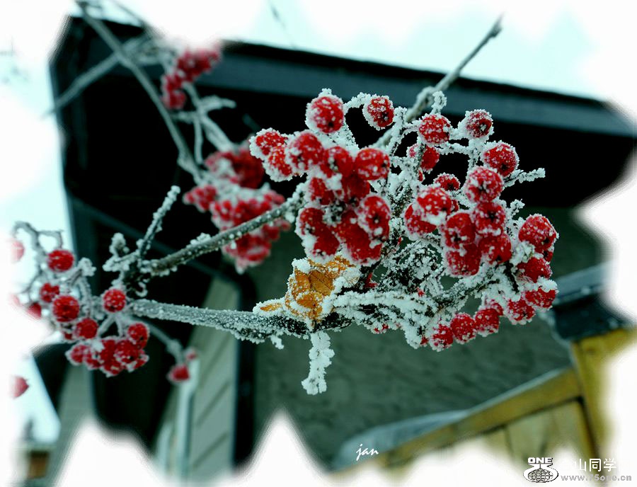 DSC00018-(2)=.jpg
