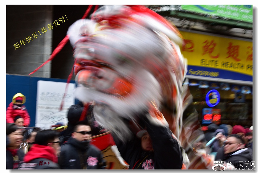 DSC_1522_.jpg