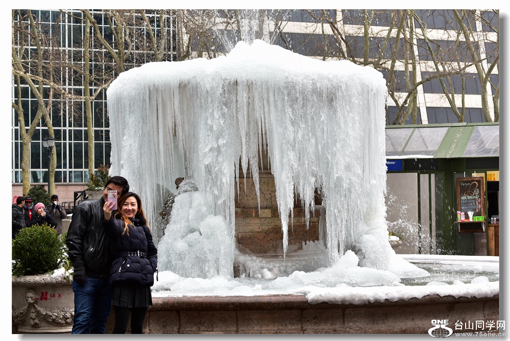 DSC_0319_.jpg