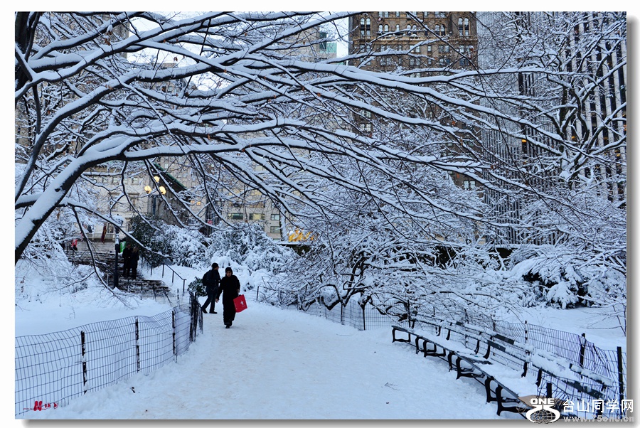 DSC_4115__.jpg