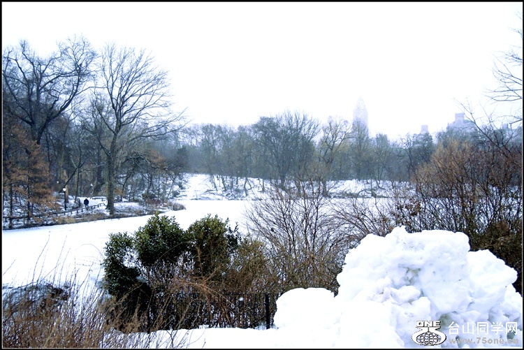 DSCN5826_.jpg