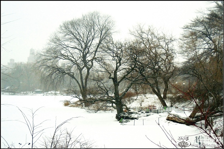 DSCN5800_.jpg