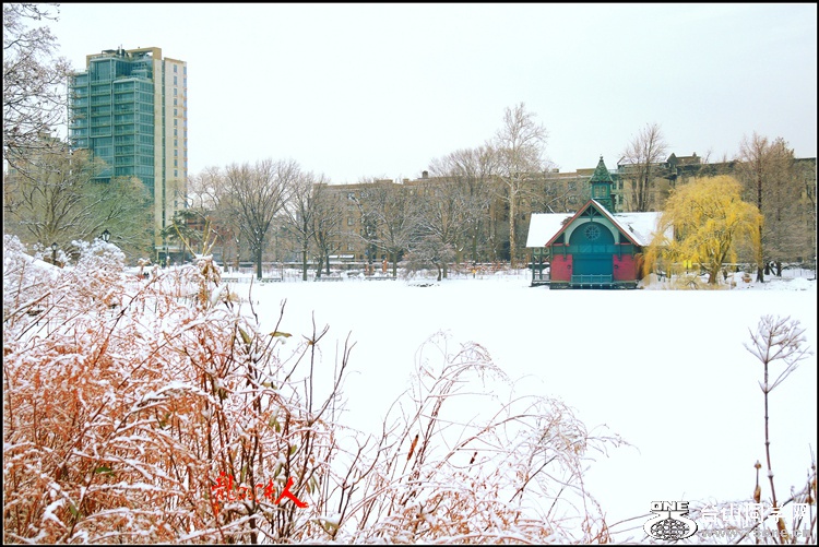 DSCN6031__.jpg