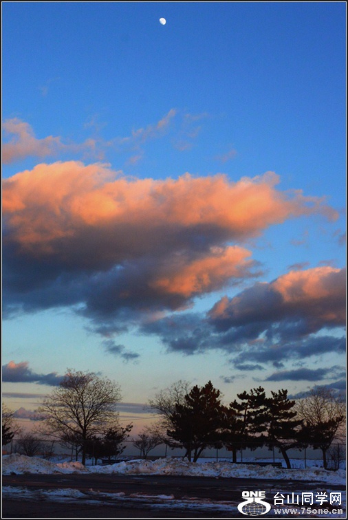 DSC_9623.jpg